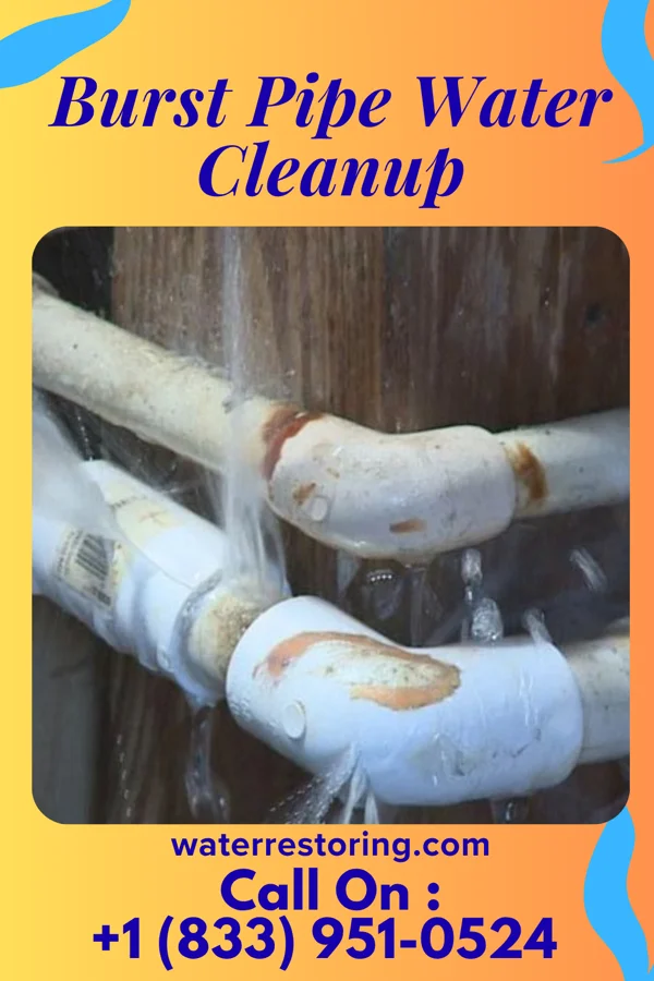 Burst Pipe Water Cleanup in Thiensville, WI